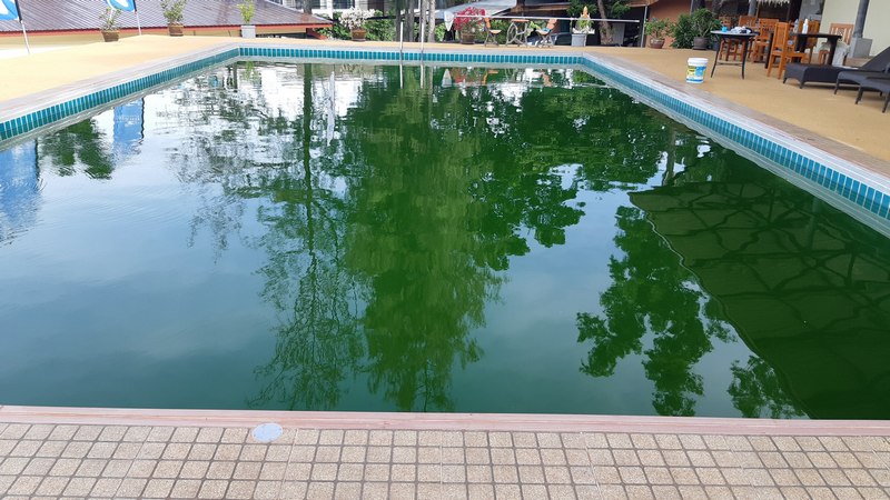 green swimming pool problems contact phuket pool cleaning